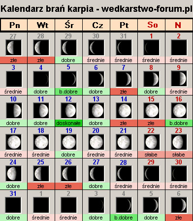 Kalendarz brań karpia - wedkarstwo-forum.pl