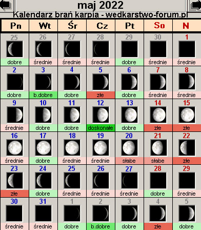 Kalendarz brań karpia – Maj 2022