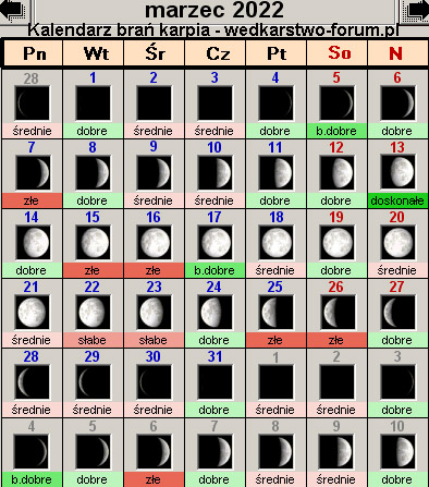Kalendarz brań karpia – Marzec 2022